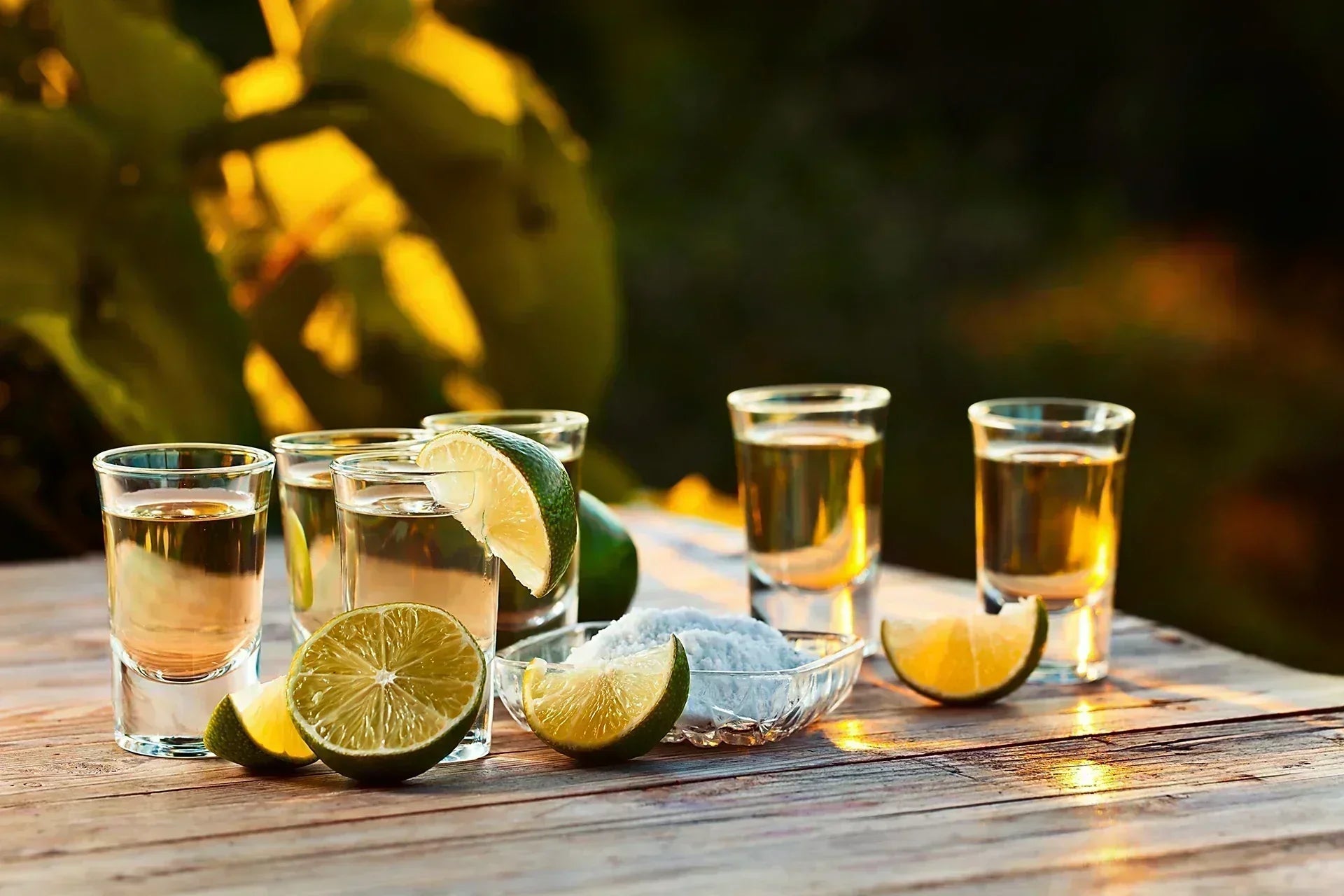 La mode de la Tequila : pourquoi l’agave est en train de dépasser les whisky en 2025 ?