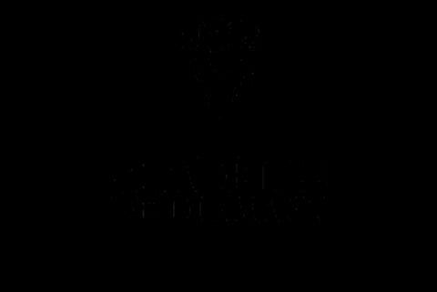 La Citadelle de Diamant