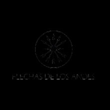 Flechas de los Andes