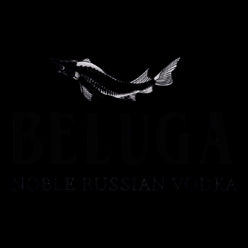 Beluga