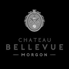 Château De Bellevue