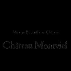 Château Montviel
