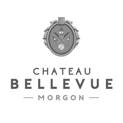 Château De Bellevue
