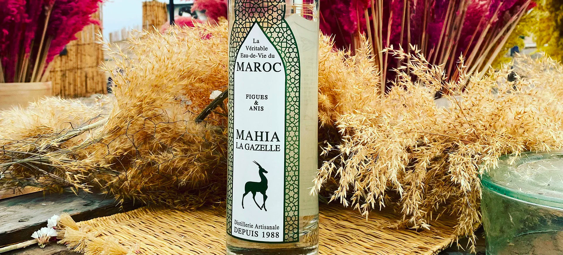 Mahia