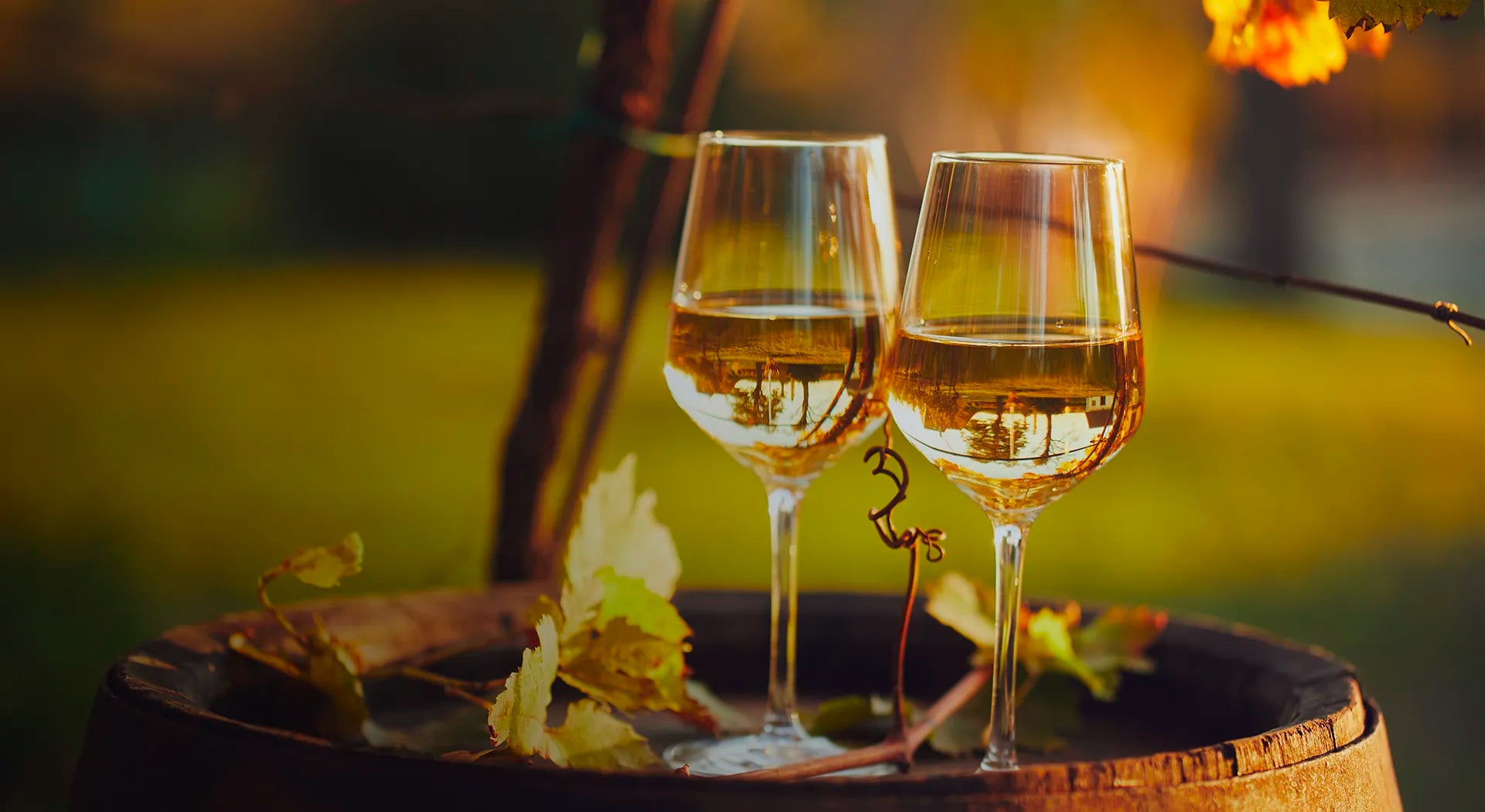 Vin blanc