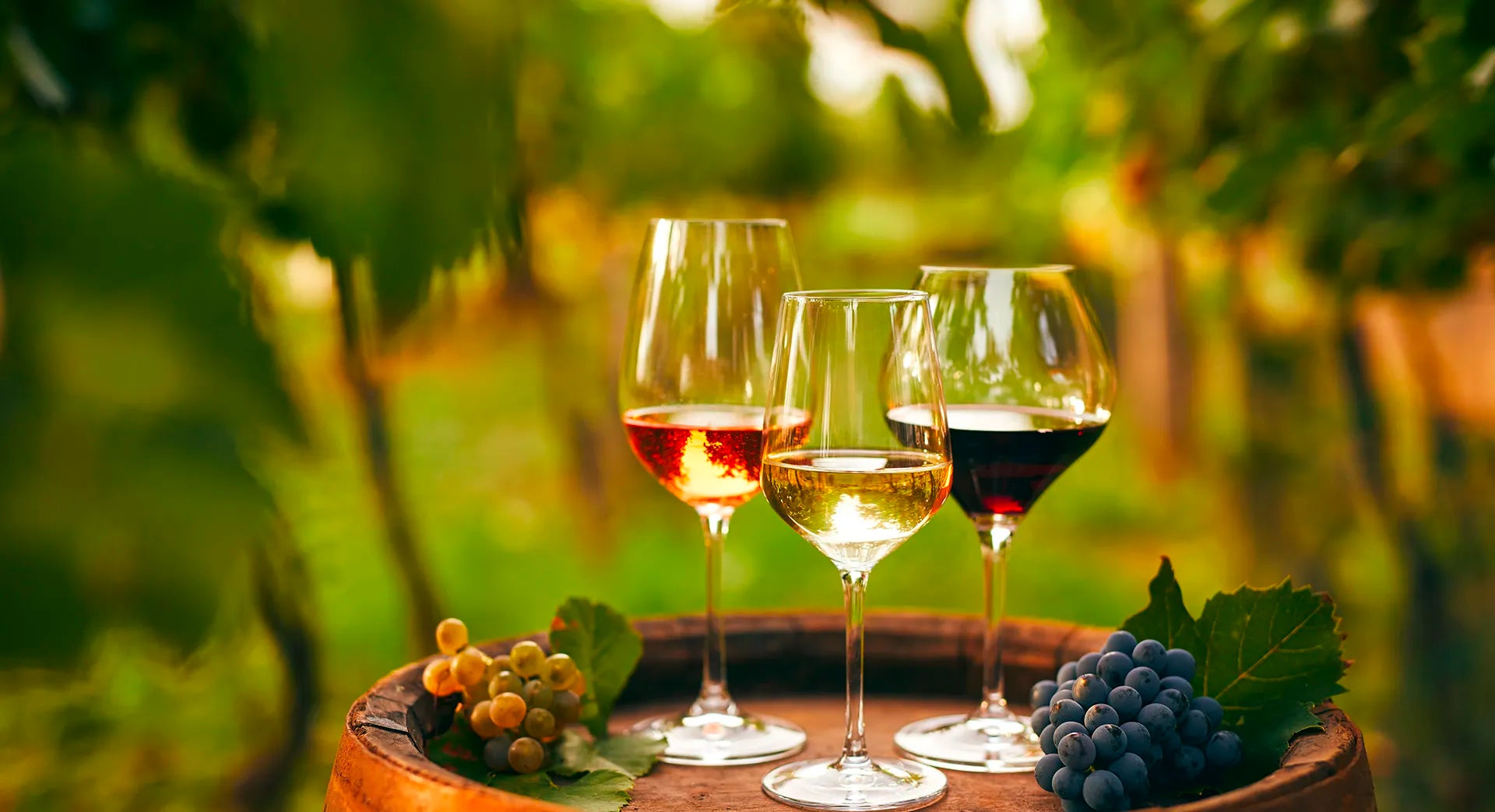 Vin de Bourgogne