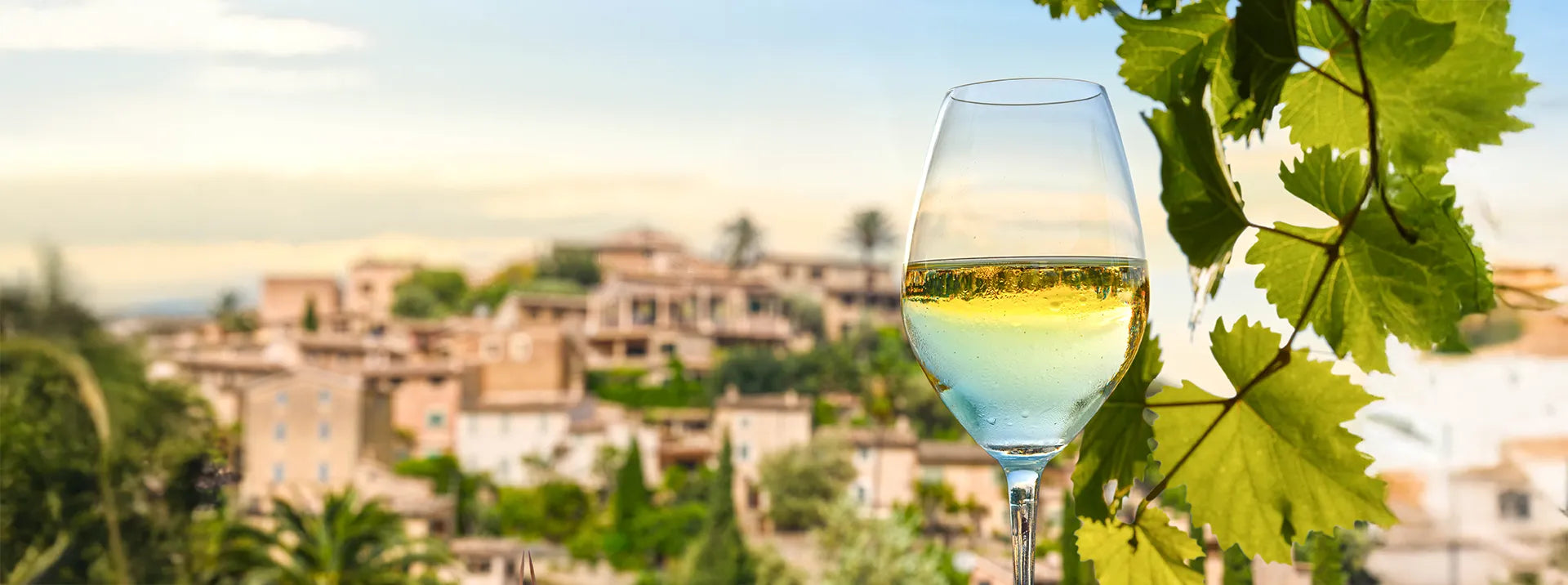 Vin d'Espagne