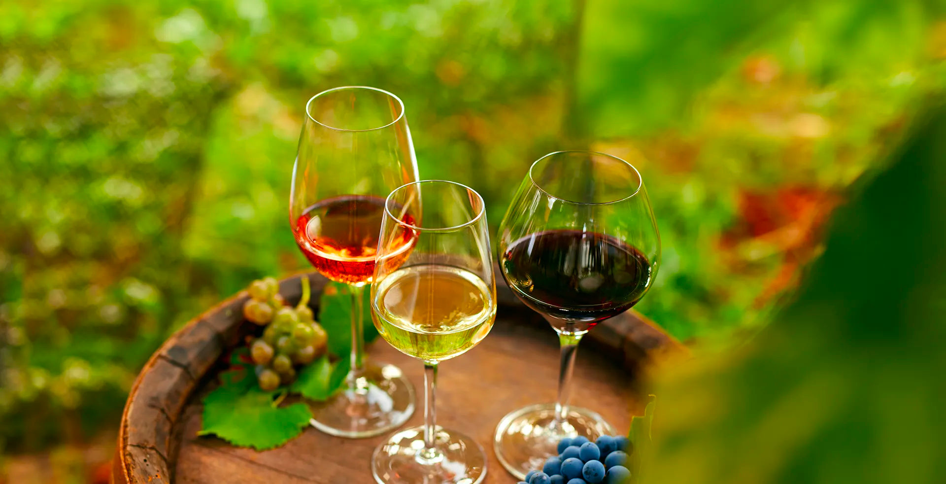 Vin entre 15 et 30€