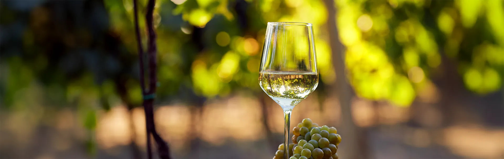 Vin des États-Unis