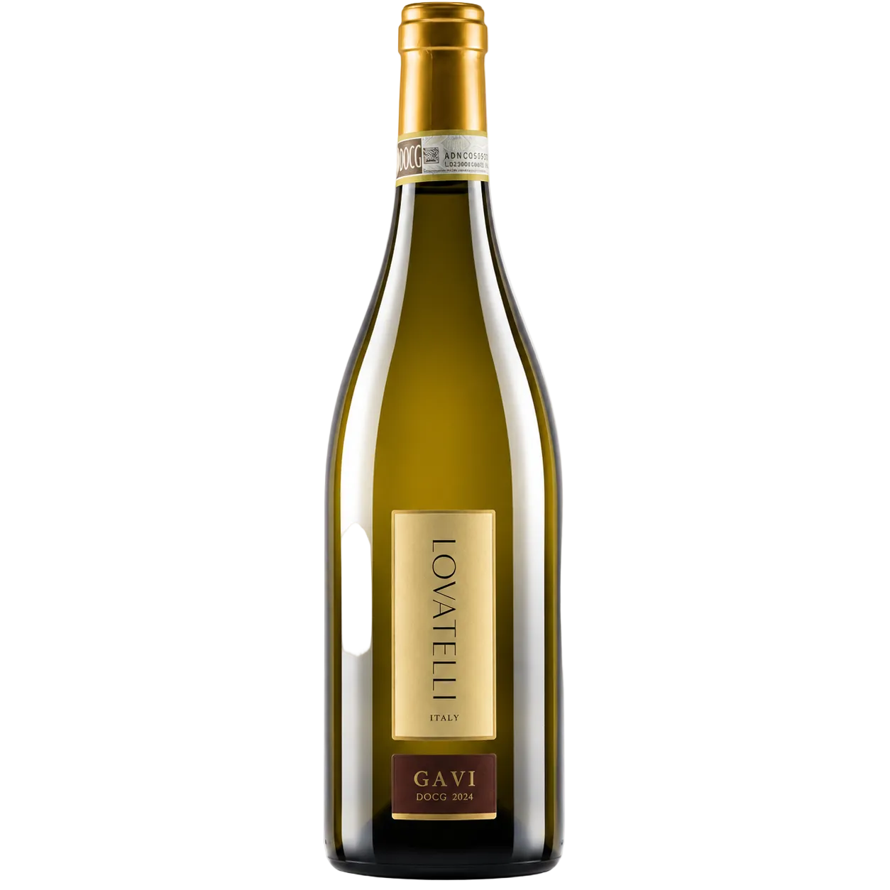 Gavi