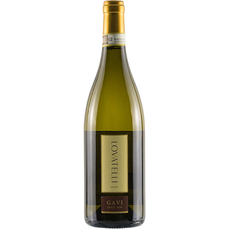 Gavi